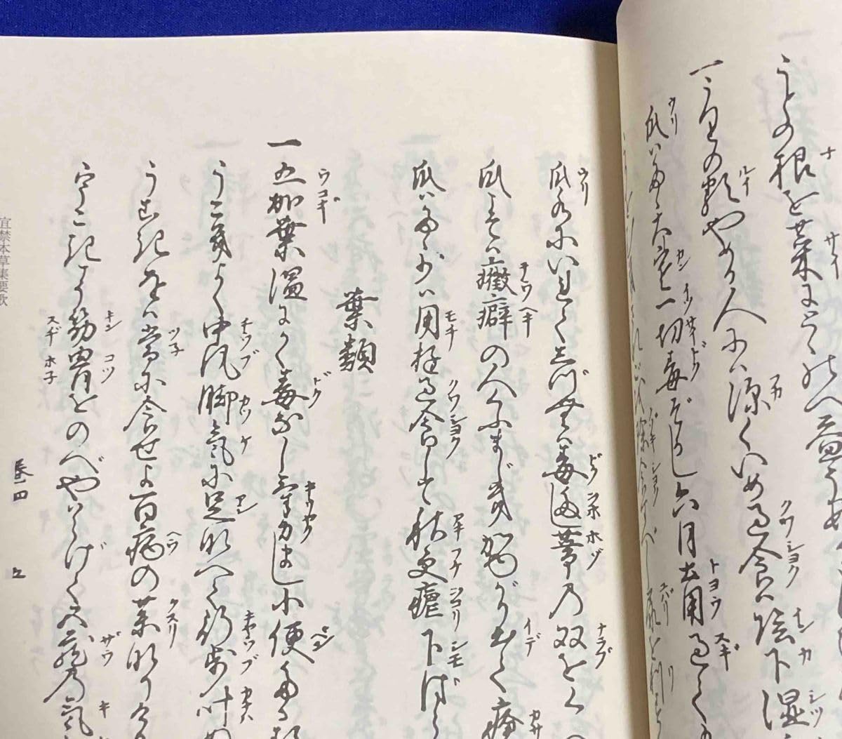 食物本草本大成　全12巻 Amazon.co.jp: 食物本草本大成 9冊◇臨川書店、昭和55年/R798食物本